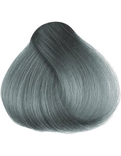 HERMAN'S GILDA GREY AMAZING DIRECT HAIR COLOR 115ML. 2