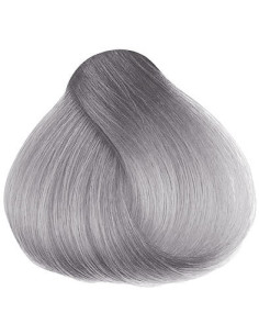 HERMAN'S SYLVIA SILVER AMAZING DIRECT HAIR COLOR 115ML. 2