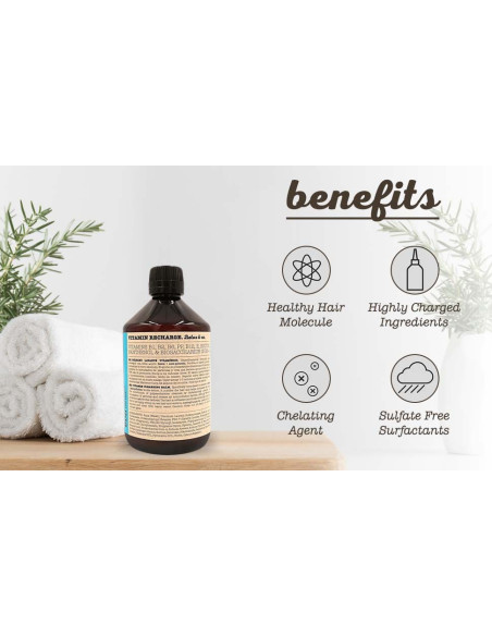 EVA PROFESSIONAL HAIR CARE VITAMIN RECHARGE DETOX & CO. 500ML