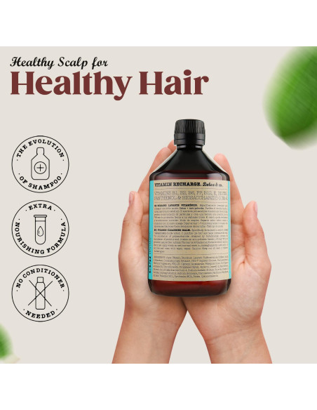 EVA PROFESSIONAL HAIR CARE VITAMIN RECHARGE DETOX & CO. 500ML