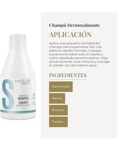 SALERM DERMOCALMANTE CHAMPU HAIRLAB 300ml