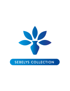 Sebelys Tinte Coloración Permanente 100ml. 2