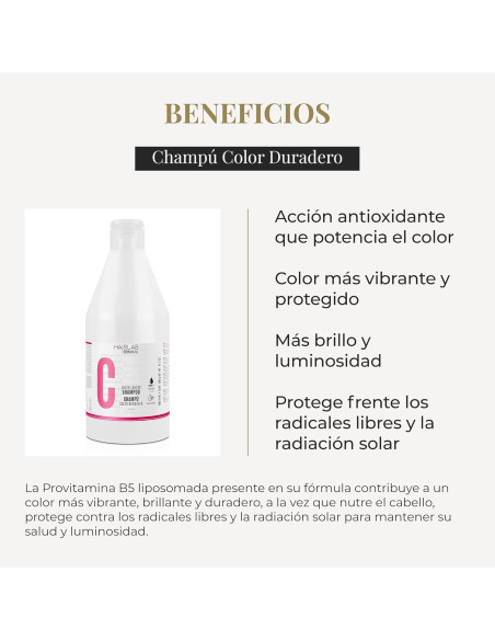 SALERM CHAMPU COLOR HAIRLAB 600ML.