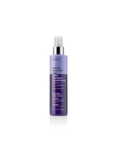 ERAYBA SILVER 2-PHASE CONDITIONER LEAVE-IN NO YELLOW 250ml. Abh/ Always beautiful hair 2