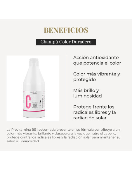 SALERM CHAMPU COLOR HAIRLAB 300ML.