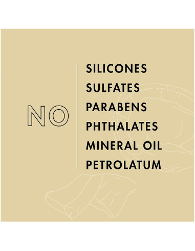 SHEA MOISTURE DAILY HIDRATION SHAMPOO COCONUT OIL 384ml. 13oz.