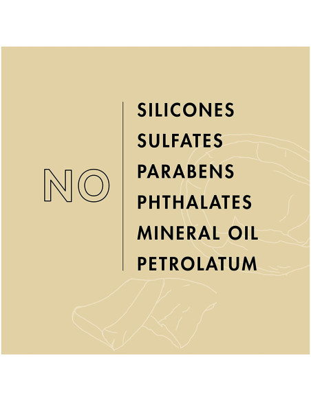 SHEA MOISTURE DAILY HIDRATION SHAMPOO COCONUT OIL 384ml. 13oz.