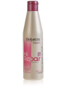 SALERM SHAMPOO HI REPAIR 01 - 250ml.