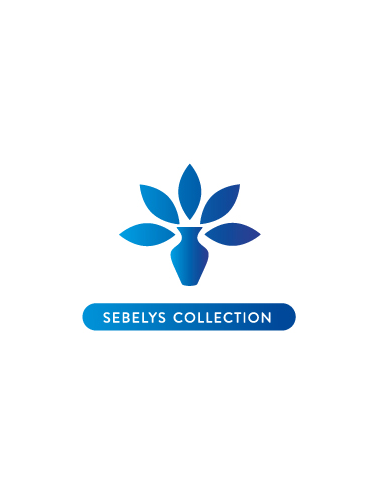 Sebelys